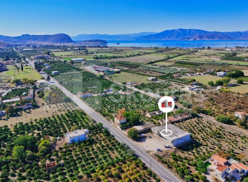 Κατάστημα Νέα Τίρυνθα 250 τ.μ.