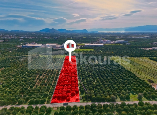 Αγροτεμάχιο Ηραίο, Μιδέα 4.300 τ.μ.