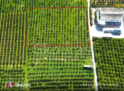 Αγροτεμάχιο Πυργέλλα, Άργος 8.014 τ.μ.