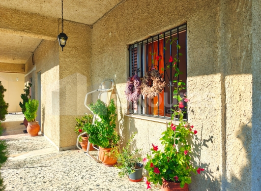 Wohnung Evrostini 45 qm - 22