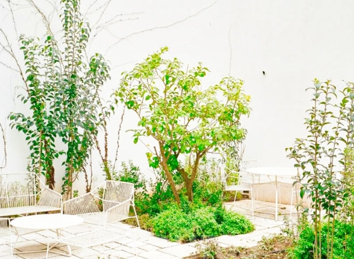 Wohnung Zentrum von Patra, Patra 125 qm - 4