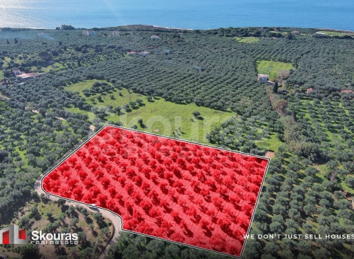 Αγροτεμάχιο Πηγάδια, Γαργαλιάνοι 8.567 τ.μ.