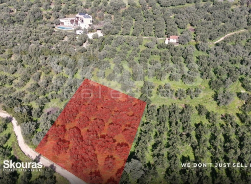 Αγροτεμάχιο Τραγάνα, Γαργαλιάνοι 2.206 τ.μ.