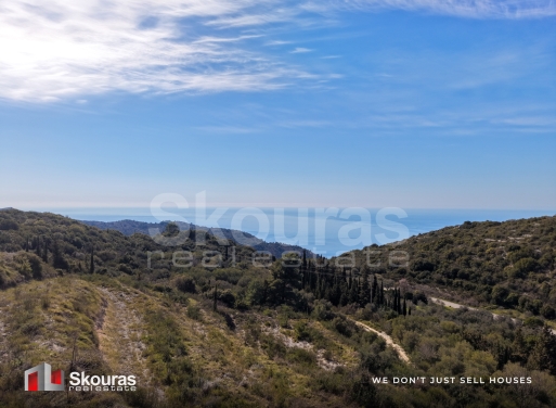 Αγροτεμάχιο, Εξάνθεια, Λευκάδα, 6.591 τ.μ.