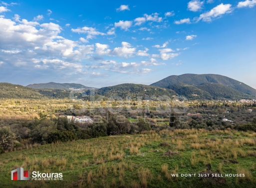 Αγροτεμάχιο Βασιλική, Απολλώνιο 4.702 τ.μ.