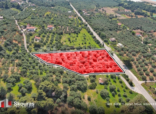 Οικόπεδο Αυλώνα 6.397 τ.μ.