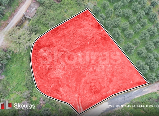 Land in Stasio - view 1