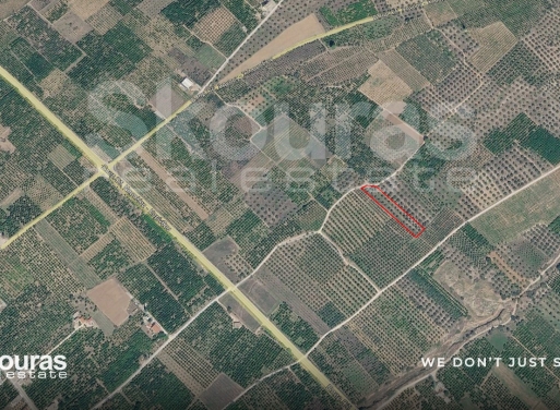 Agricultural Land Mykines 3.833 m2