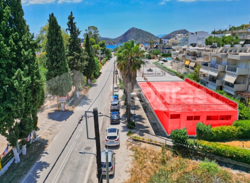 Κατάστημα Τολό, Ασίνη 165.63 τ.μ.