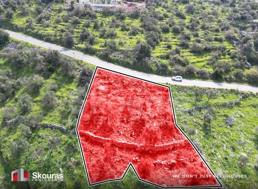 Land in Pigi - Image 4