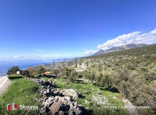 Land in Pigi - Image 5