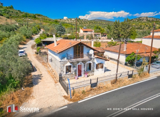 House in Piryiotika - view 1