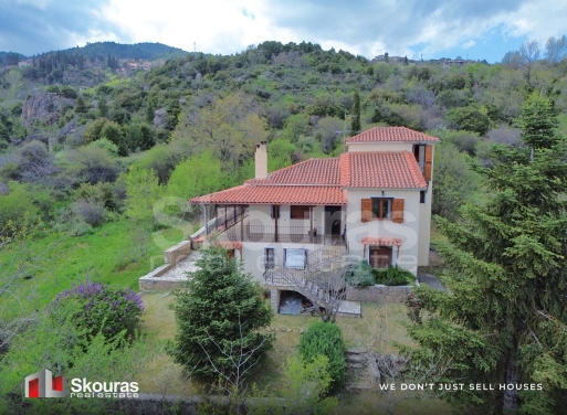 House in Kato Sinoikia Trikalon - view 1