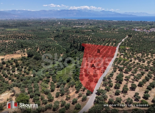 Land in Drakoneri - view 1