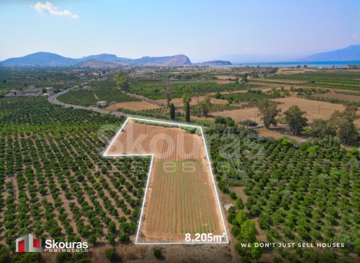 Αγροτεμάχιο Τίρυνθα, Νέα Τίρυνθα 8.205,68 τ.μ.