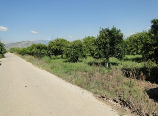 Nea Kios Agricultural Land  8800 m2