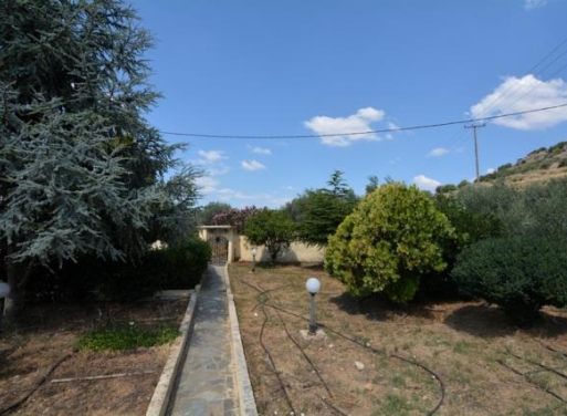 Maison Individuelle Centre de Nauplie, Nauplie 265 m2 - 21