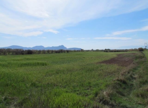 Nea Kios Agricultural Land  10750 m2