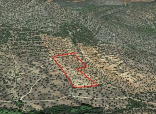 Земельный участок Эрмиони 13.824 кв.м - 3