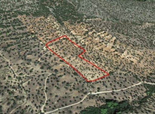 Земельный участок Эрмиони 13.824 кв.м - 4