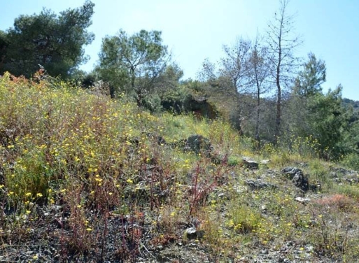 Участок Nea Epidavros, Эпидавр 720 кв.м - 16