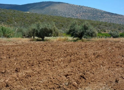 Landparzelle Kantia, Asini 4.200 qm - 10