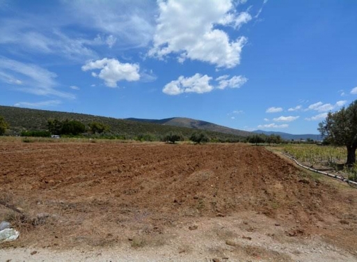 Landparzelle Kantia, Asini 4.200 qm - 11