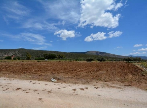 Landparzelle Kantia, Asini 4.200 qm - 12