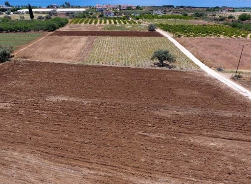 Landparzelle Kantia, Asini 4.200 qm - 13
