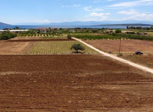 Landparzelle Kantia, Asini 4.200 qm - 14