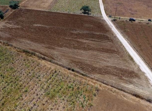 Landparzelle Kantia, Asini 4.200 qm - 15