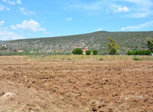 Landparzelle Kantia, Asini 4.200 qm - 17