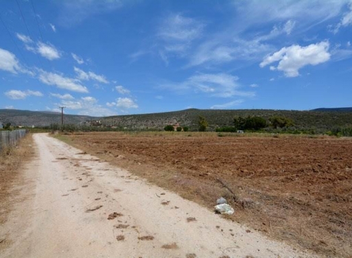 Landparzelle Kantia, Asini 4.200 qm - 19