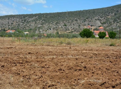 Landparzelle Kantia, Asini 4.200 qm - 20