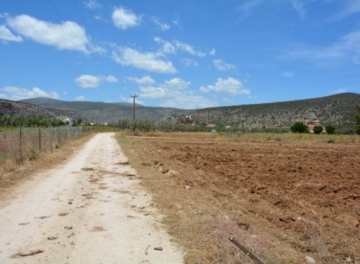 Landparzelle Kantia, Asini 4.200 qm - 21
