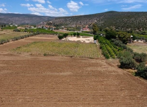 Landparzelle Kantia, Asini 4.200 qm - 22