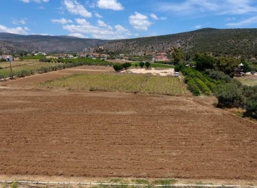 Landparzelle Kantia, Asini 4.200 qm - 25