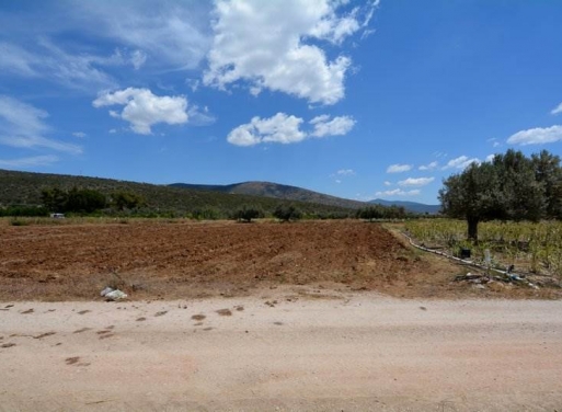 Landparzelle Kantia, Asini 4.200 qm - 3
