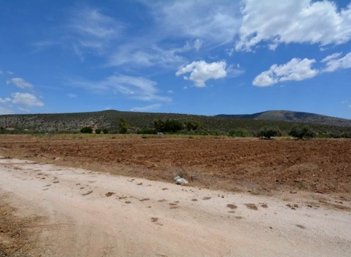 Landparzelle Kantia, Asini 4.200 qm - 4