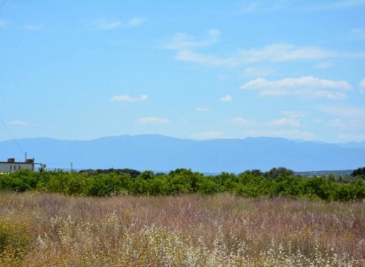 Landparzelle Kantia, Asini 4.200 qm - 6