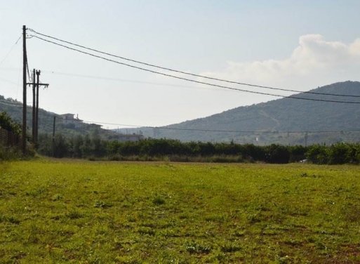 Landparzelle Agios Adrianos, Nea Tiryntha 4.770 qm - 10