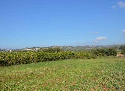 Landparzelle Agios Adrianos, Nea Tiryntha 4.770 qm - 11