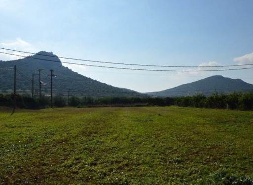 Landparzelle Agios Adrianos, Nea Tiryntha 4.770 qm - 12