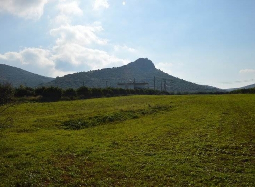 Landparzelle Agios Adrianos, Nea Tiryntha 4.770 qm - 15
