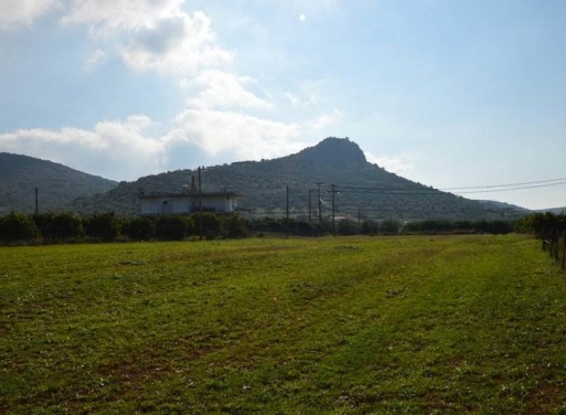 Landparzelle Agios Adrianos, Nea Tiryntha 4.770 qm - 17