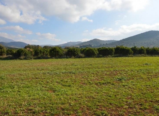 Landparzelle Agios Adrianos, Nea Tiryntha 4.770 qm - 18