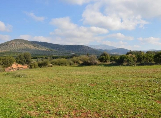 Landparzelle Agios Adrianos, Nea Tiryntha 4.770 qm - 19