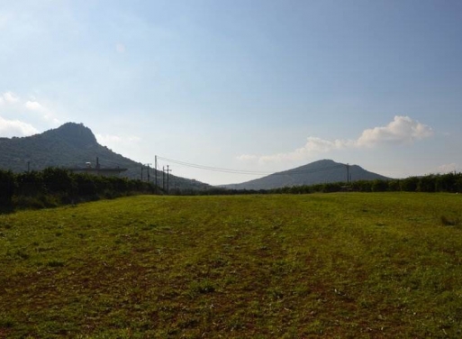 Landparzelle Agios Adrianos, Nea Tiryntha 4.770 qm - 20