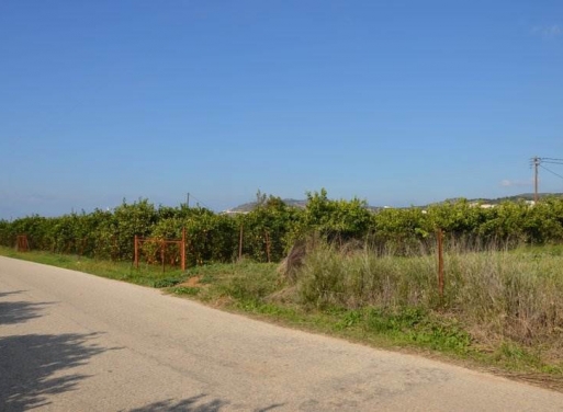 Landparzelle Agios Adrianos, Nea Tiryntha 4.770 qm - 21