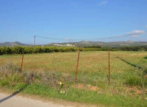 Landparzelle Agios Adrianos, Nea Tiryntha 4.770 qm - 22